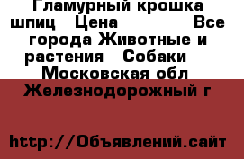 Гламурный крошка шпиц › Цена ­ 30 000 - Все города Животные и растения » Собаки   . Московская обл.,Железнодорожный г.